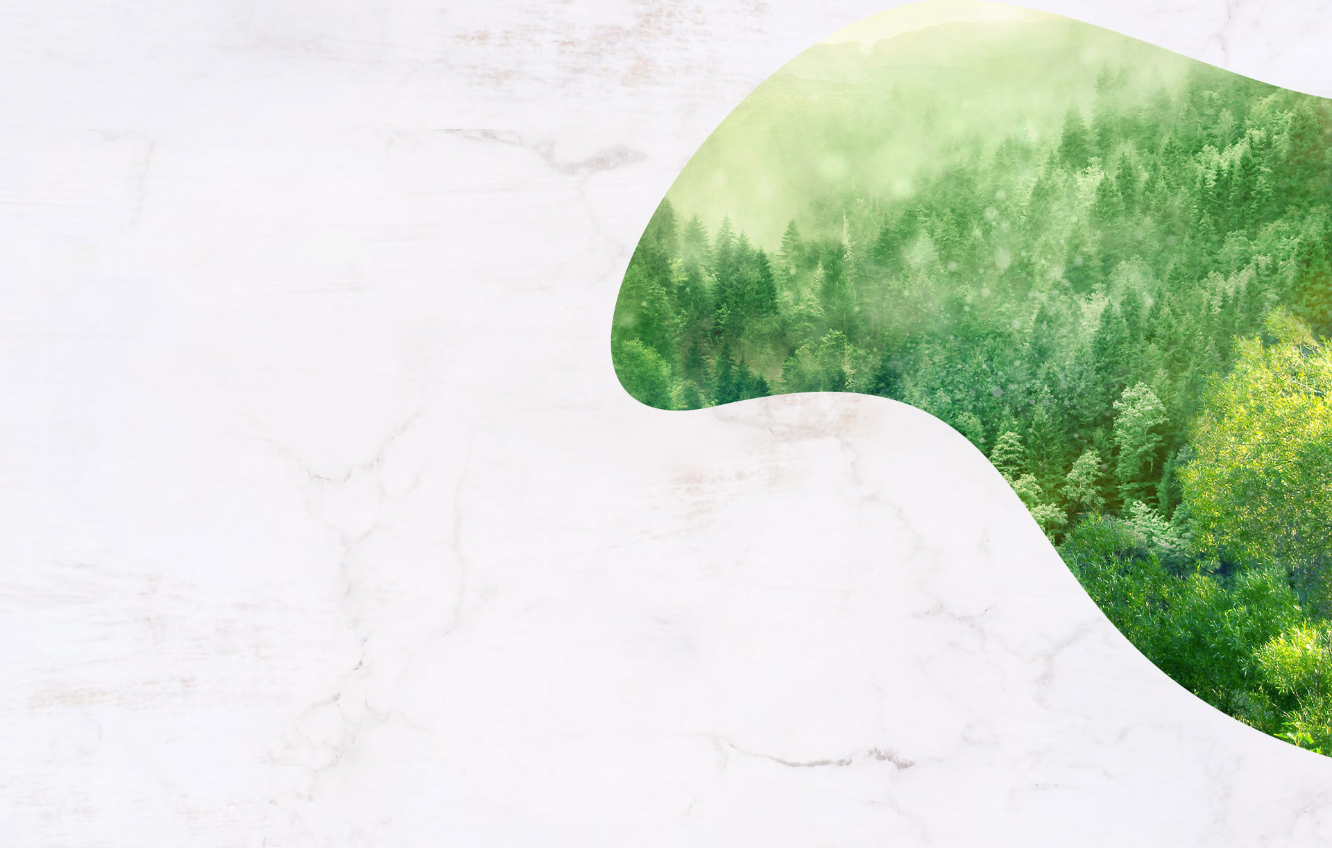 筷子&魚(yú)缸背景1920*1223